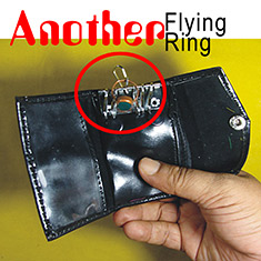 Another Flying Ring